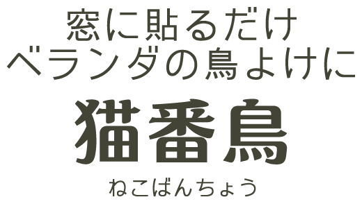 猫番鳥